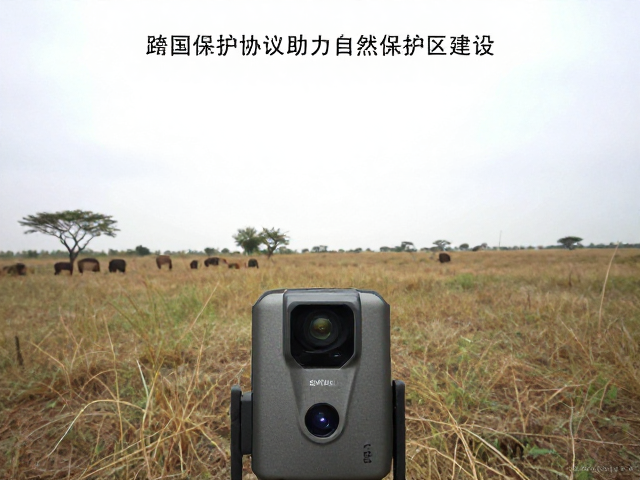 红外相机追踪记录，跨国保护协议助力自然保护区建设
