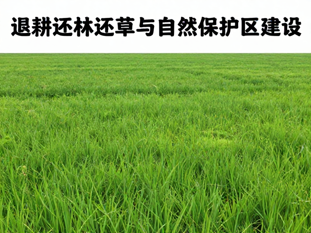退耕还林还草与自然保护区建设,种群复壮计划助生态复苏