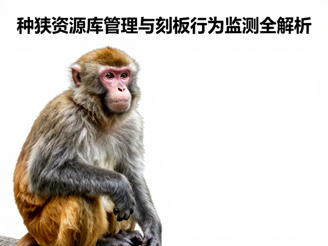 人工繁育技术升级，种猴资源库管理与刻板行为监测全解析