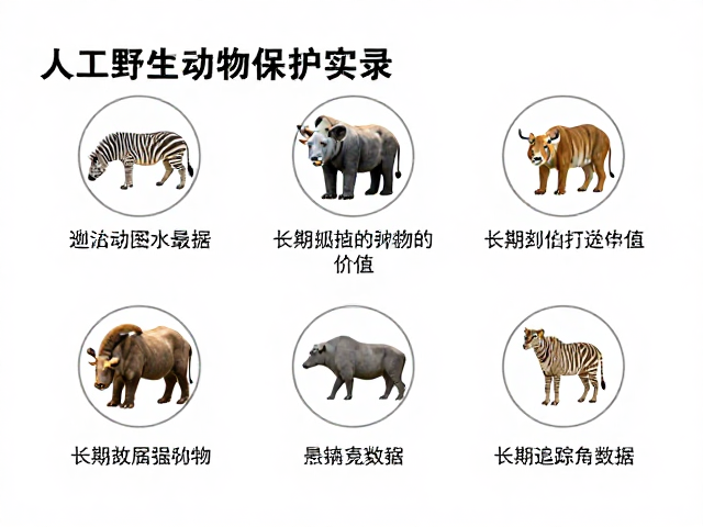 人工繁育技术科普,利用长期追踪数据揭秘野生动物保护实录
