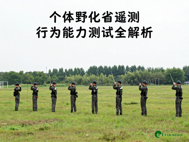 个体野化训练,无线电遥测下的行为能力测试全解析