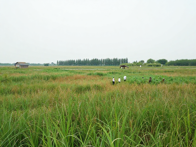 自然保护区科普基地,实地参观感受气候变化应对成果
