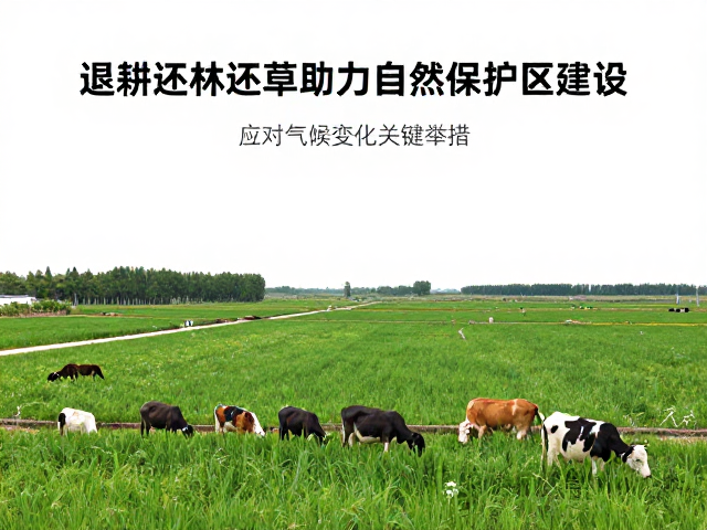 退耕还林还草助力自然保护区建设,应对气候变化关键举措