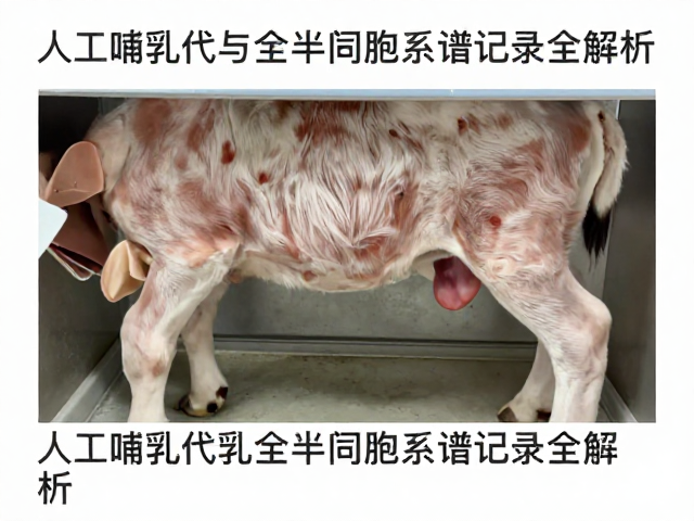 人工繁育技术，人工哺乳代乳与全半同胞系谱记录全解析
