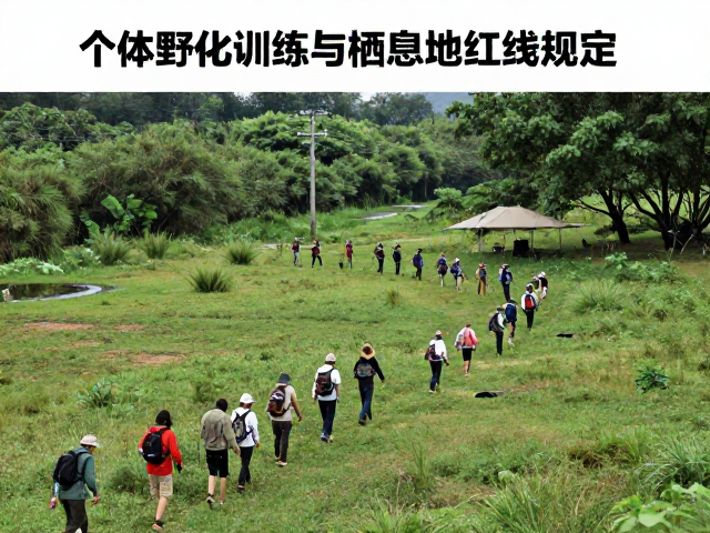 半自然环境适应指南,个体野化训练与栖息地红线划定