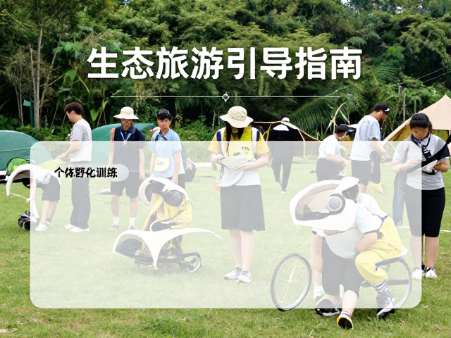 个体野化训练与行为能力测试,生态旅游引导指南
