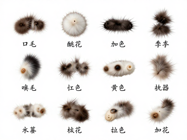 亚种对比图鉴，季节性食物与毛色毛质变化全解析