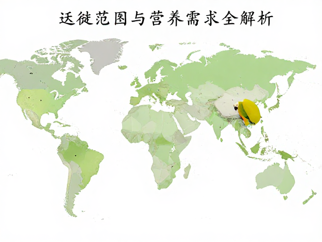 鹦鹉亚种对比图鉴，迁徙范围与营养需求全解析