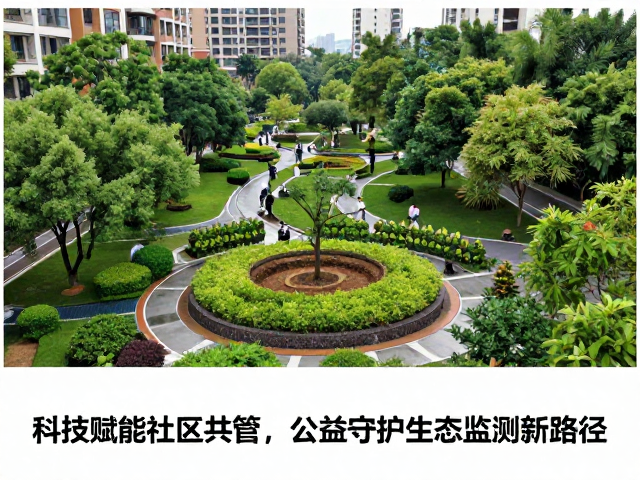 科技赋能社区共管，公益守护生态监测新路径