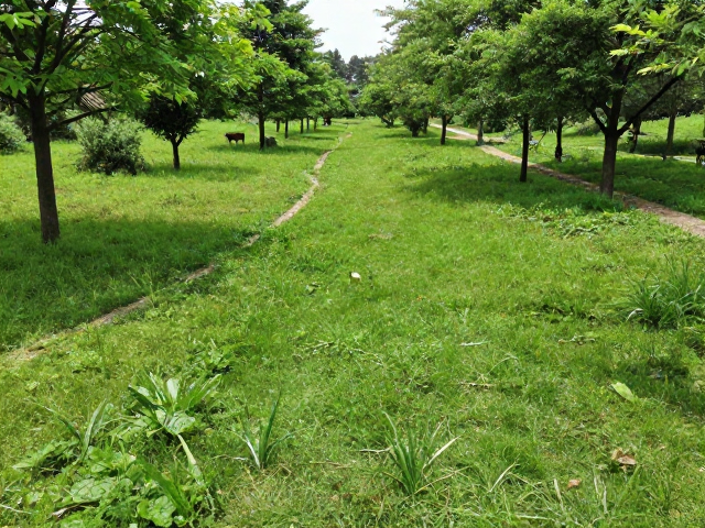 公益保护活动，野生动物保护协会共建生态廊道，守护自然生机