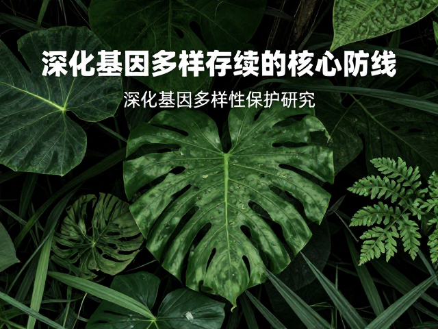 公益保护活动,以就地保护为主,深化基因多样性保护研究