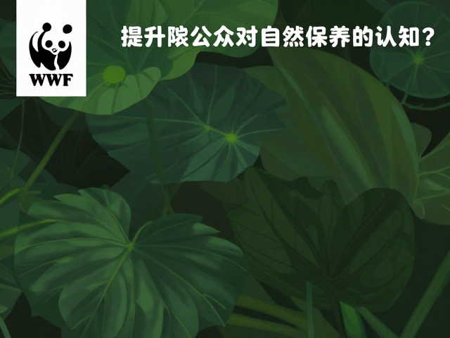 WWF公益保护活动，如何提升公众对自然保护的认知？