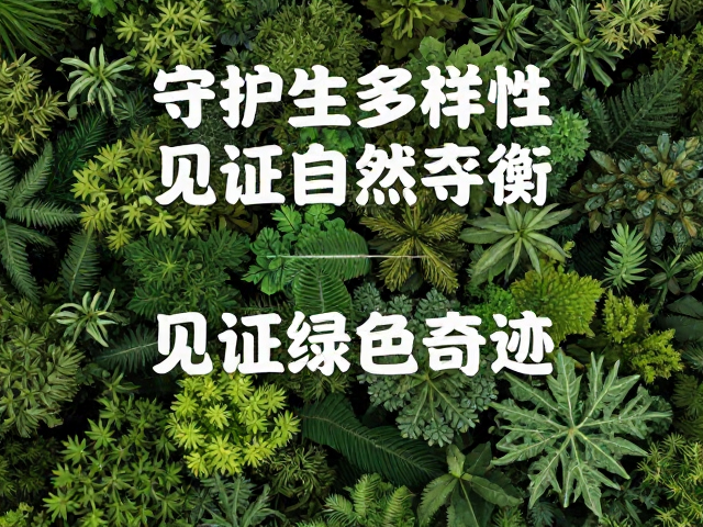 公益保护活动，环保组织助力生态链恢复，见证绿色奇迹