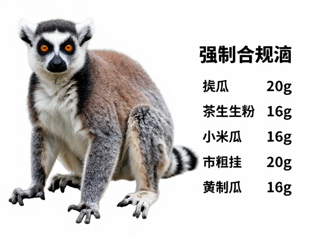 环尾狐猴体型多大?揭秘其杂食性饮食与食量特征