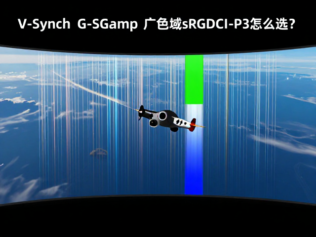飞行模拟观测下V-Sync与G-Sync差异,广色域sRGB/DCI-P3怎么选?