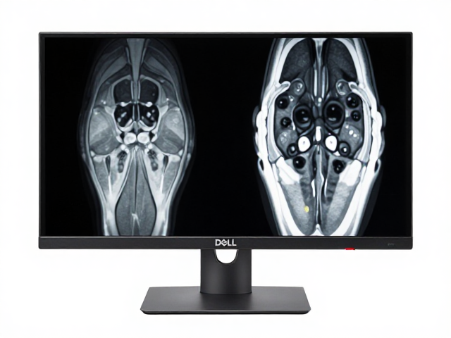 戴尔Alienware显示器,1ms GTG低响应,医学影像阅览更精准