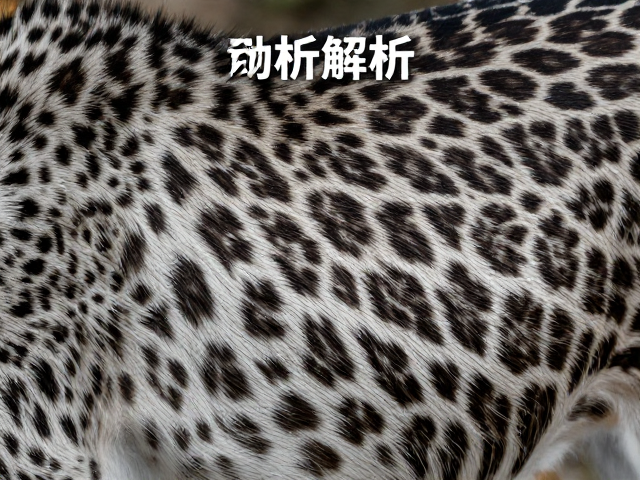 深浅相间斑点分布解析,揭秘动物外形特征与识别技巧