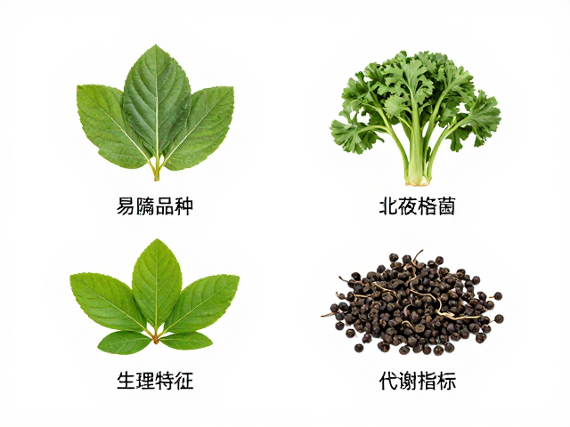 易混淆品种区分,外形特征与代谢慢的识别要点