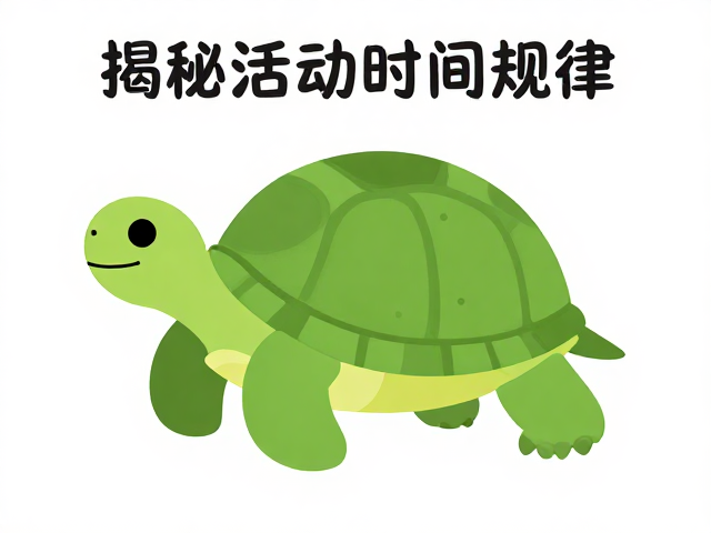 乌龟外形特征与温度耐受,揭秘其活动时间规律