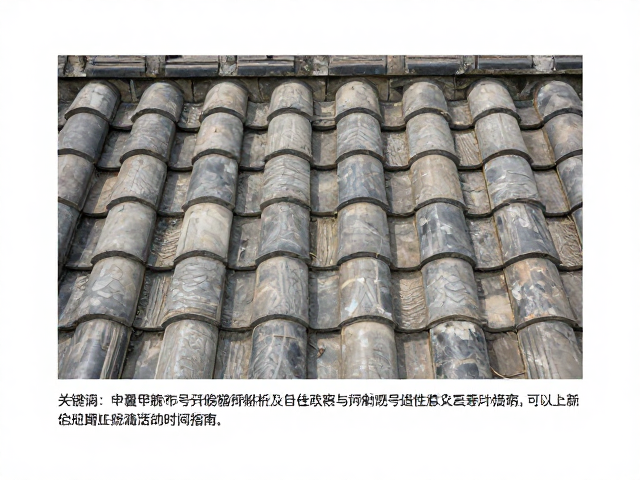龟甲覆瓦状排列特征解析及最佳观察活动时间指南