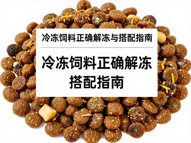 主食龟粮怎么选?冷冻饲料正确解冻与搭配指南