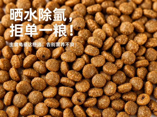 晒水除氯,拒单一粮!主食龟粮这样选,告别营养不良