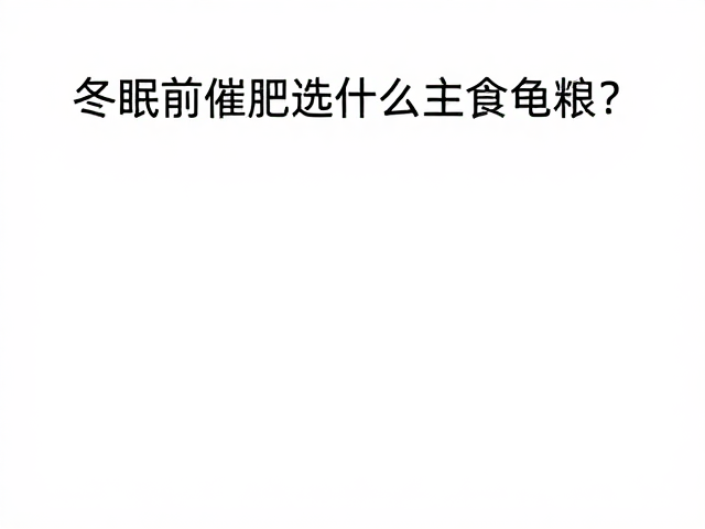 冬眠前催肥选什么主食龟粮？安静无干扰环境助健康越冬