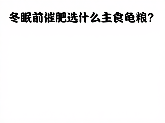 冬眠前催肥选什么主食龟粮？安静无干扰环境助健康越冬