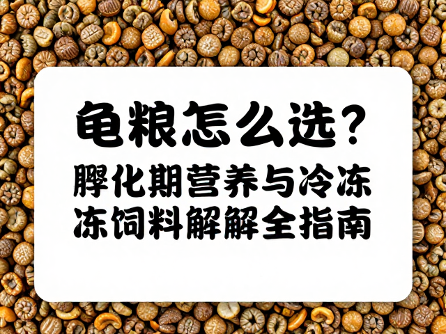 龟粮怎么选?孵化期营养与冷冻饲料解冻全指南