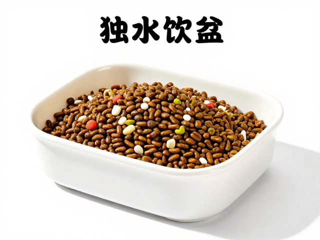 龟粮怎么选?独立饮水盆,孵化期营养,新手养龟全攻略