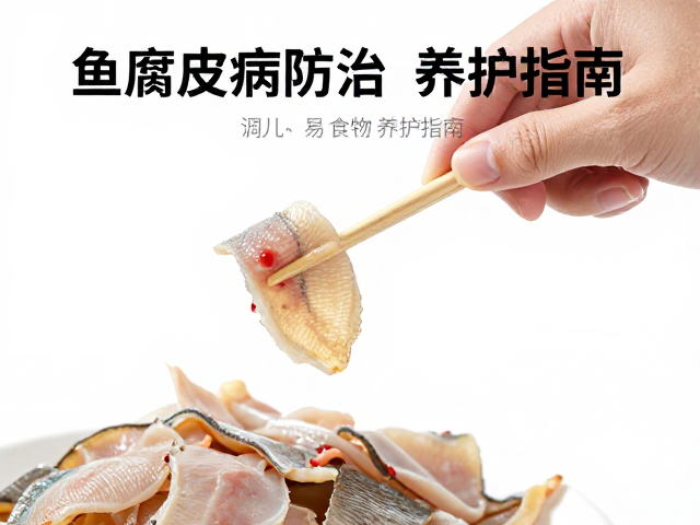 鱼腐皮病防治,外观检查判断,易消化食物养护指南