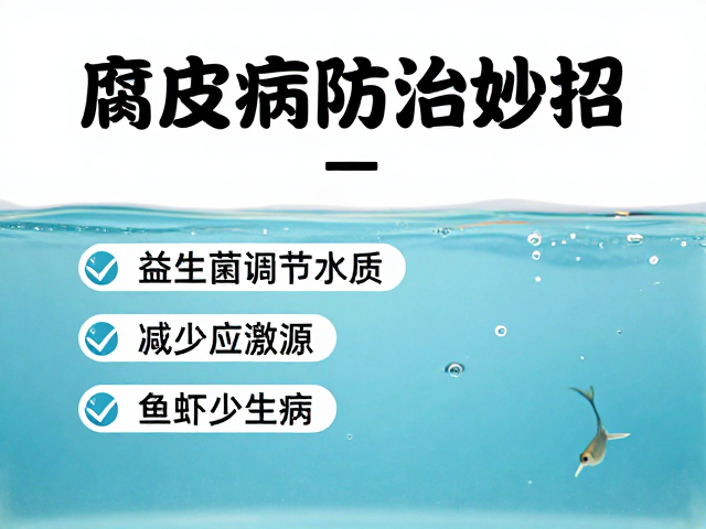 腐皮病防治妙招,益生菌调节水质,减少应激源,鱼虾少生病