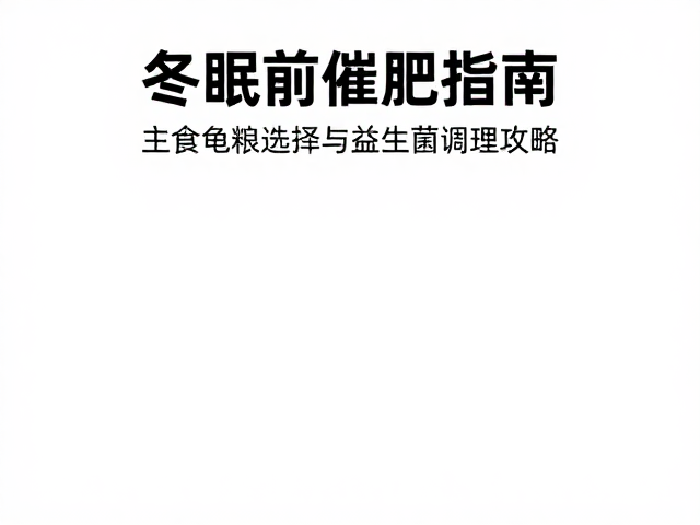 冬眠前催肥指南,主食龟粮选择与益生菌调理攻略