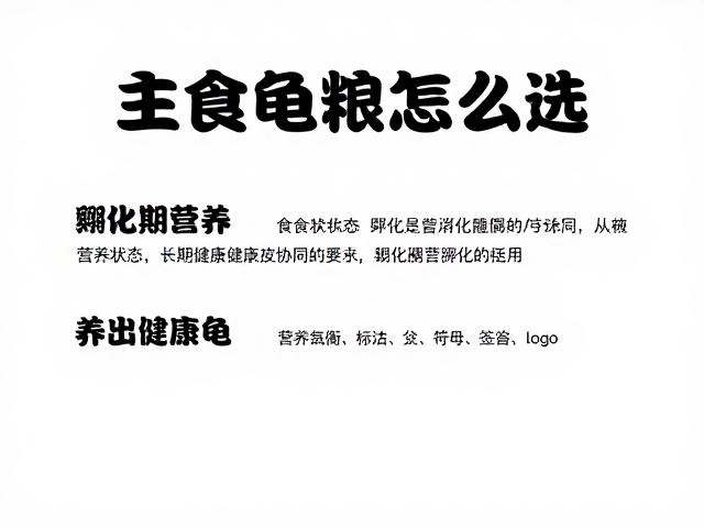 主食龟粮怎么选?结合食欲状态与孵化期营养,养出健康龟