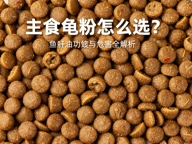 主食龟粮怎么选?鱼肝油功效与滥用危害全解析