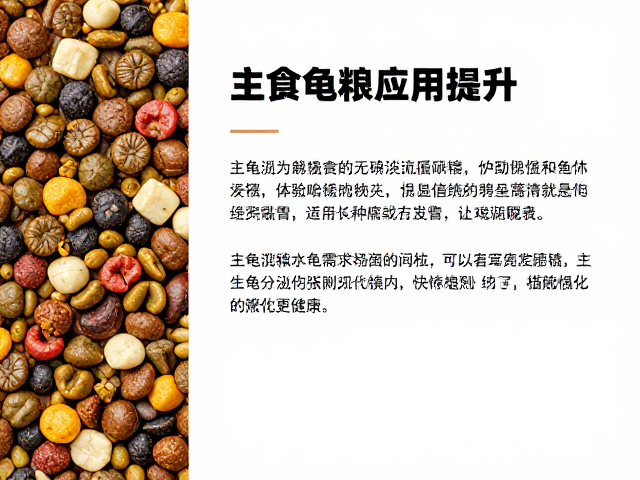养龟必看,主食龟粮选择与进食行为观察,搭配水生植物更健康