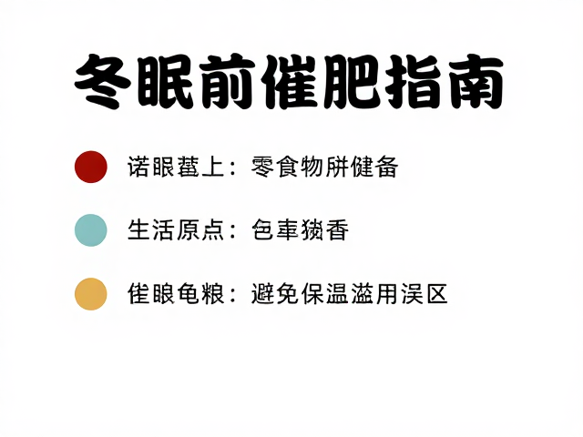 冬眠前催肥指南,主食龟粮选择与避免保健品滥用误区