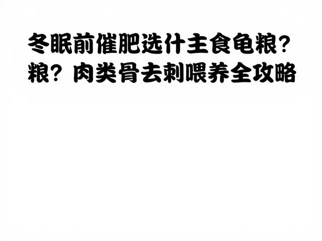 冬眠前催肥选什么主食龟粮?肉类去骨去刺喂养全攻略