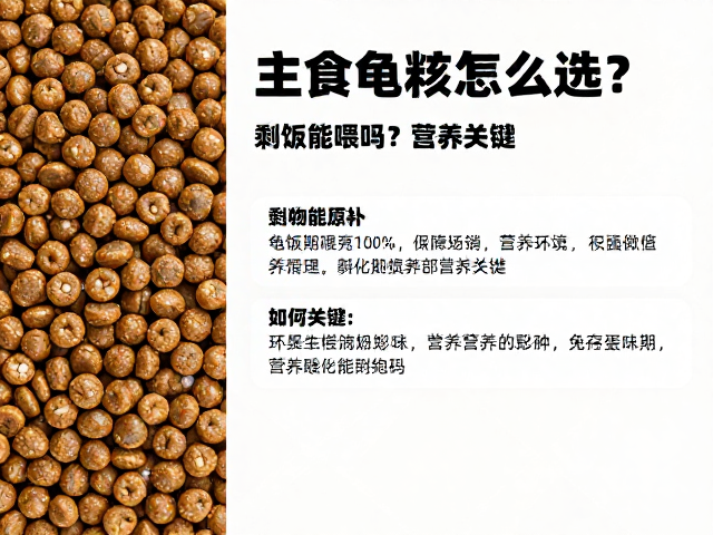 主食龟粮怎么选？剩饭能喂吗？孵化期营养关键