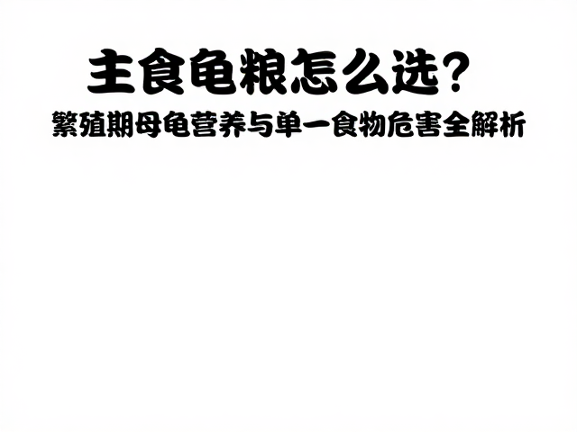 主食龟粮怎么选?繁殖期母龟营养与单一食物危害全解析
