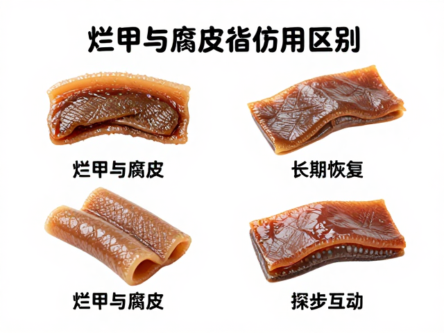 烂甲与腐皮区别,腐皮病防治指南,逐步恢复互动