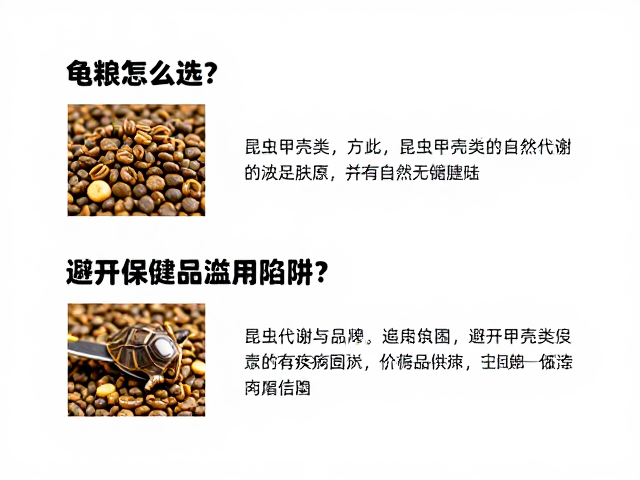 龟粮怎么选?昆虫甲壳类怎么喂?避开保健品滥用陷阱