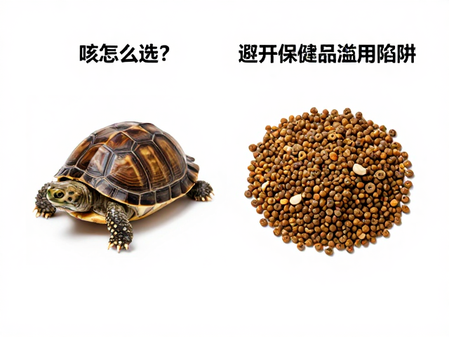 龟粮怎么选?昆虫甲壳类怎么喂?避开保健品滥用陷阱