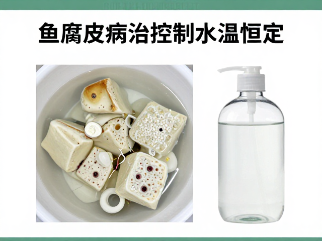 鱼腐皮病防治,控制水温恒定,碘伏聚维酮碘消毒法