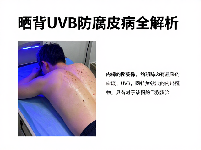 新龟隔离检疫指南,晒背UVB防腐皮病全解析