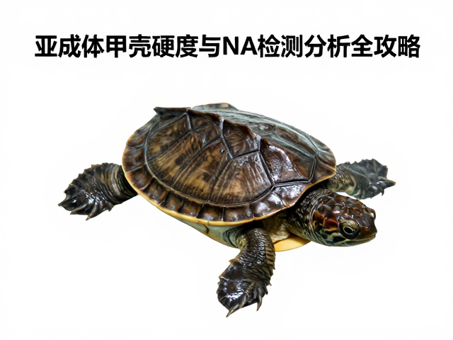 甲鱼幼苗鉴别,亚成体甲壳硬度与DNA检测分析全攻略