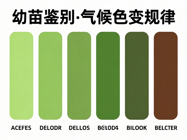 资深玩家总结，幼苗鉴别技巧与气候色变规律