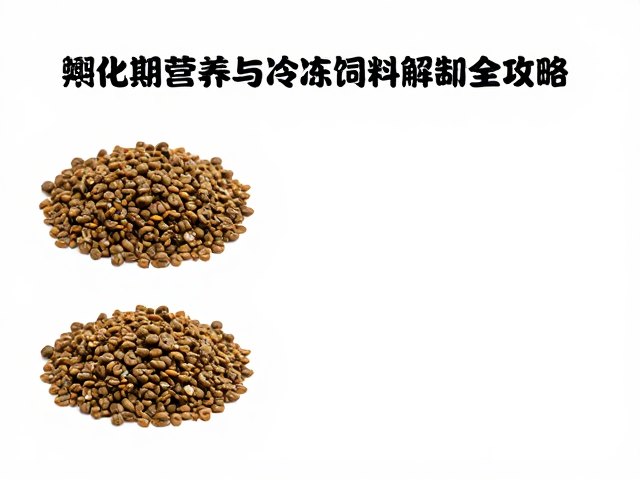 龟粮怎么选？孵化期营养与冷冻饲料解冻全攻略