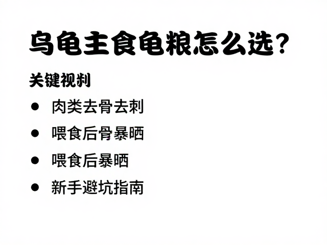 乌龟主食龟粮怎么选?肉类去骨去刺,喂食后暴晒,新手避坑指南