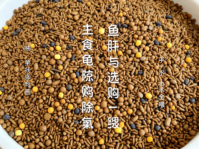 鱼肝油怎么喂?主食龟粮选购与晾晒除氯自来水全攻略